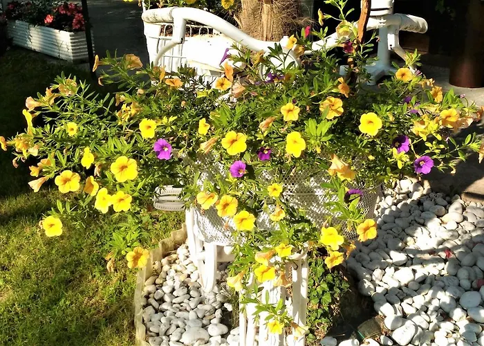 Green Holiday Villa Διαμέρισμα *