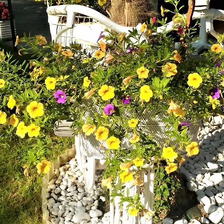 Green Holiday Villa דירה *