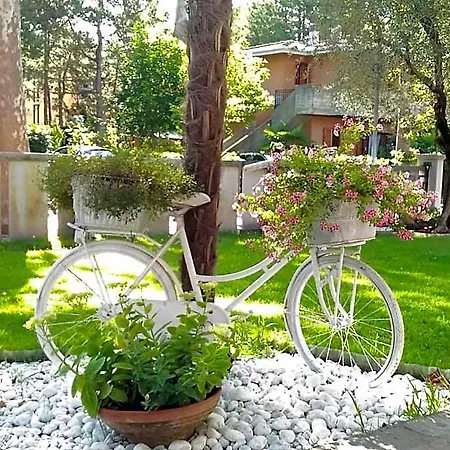 Green Holiday Villa Apartment *