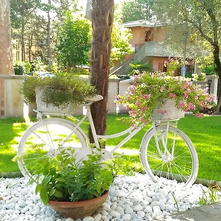 Green Holiday Villa *